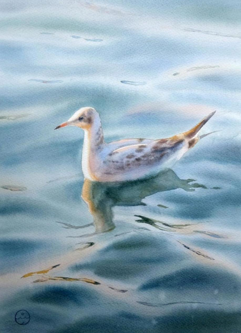 Seagull On The Wave (2)