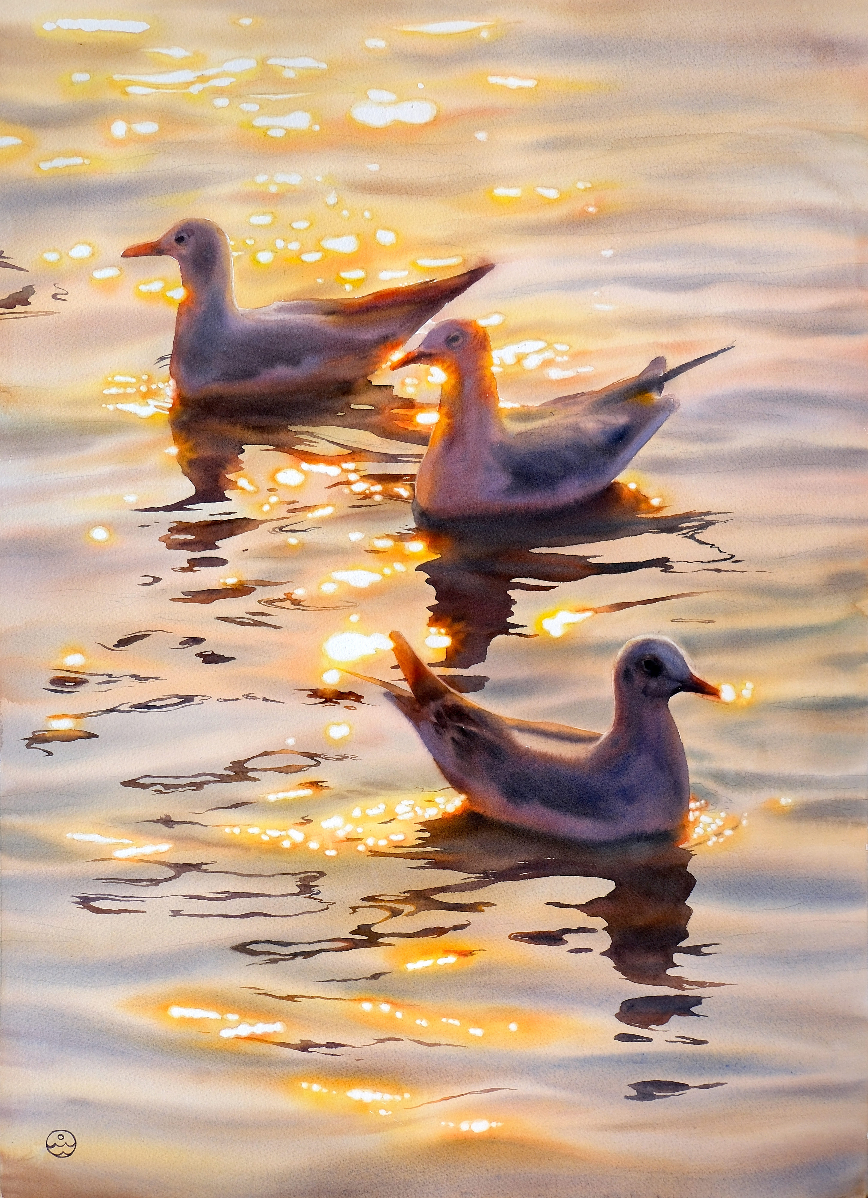 Dance of Reflection